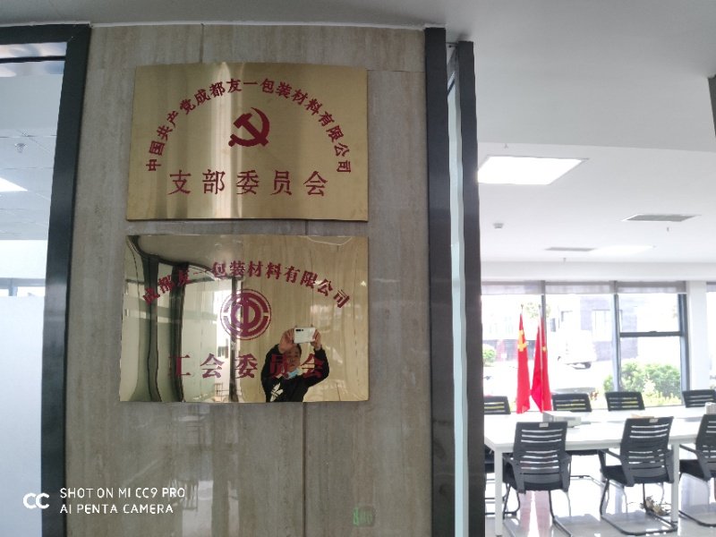 热烈：豘6人生就是博集团成都分公司党支部在2020年3月11日授牌成立，，支部书记曹云(行政部司理)